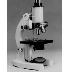Compound Microscope
